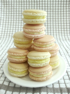 Rose and Vanilla Macarons