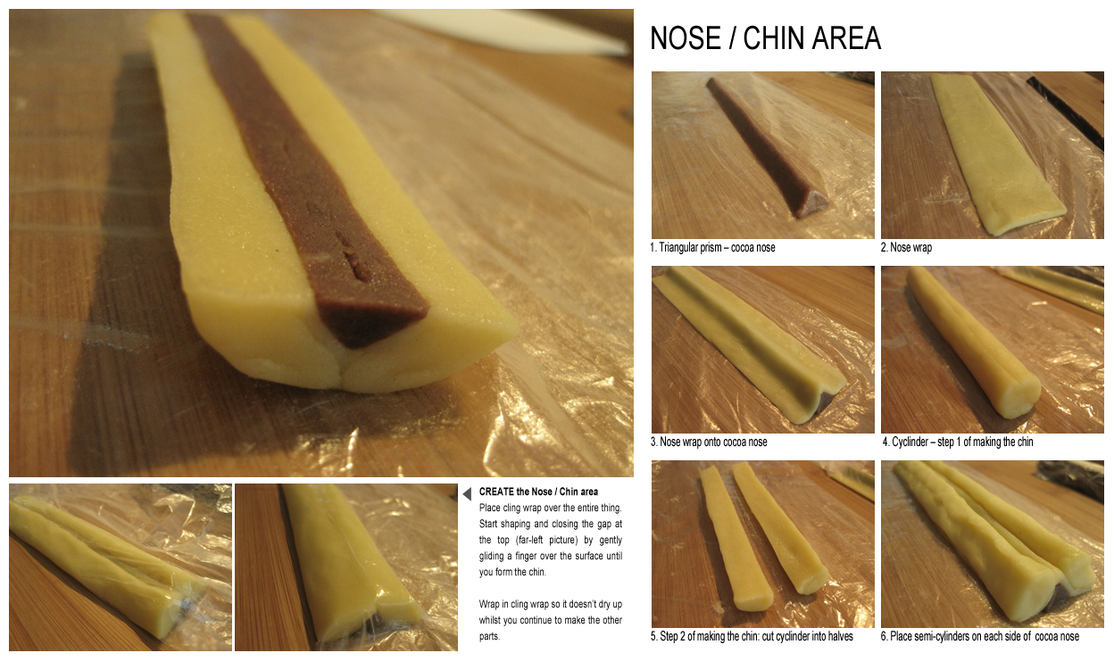 Nose/Chin Area