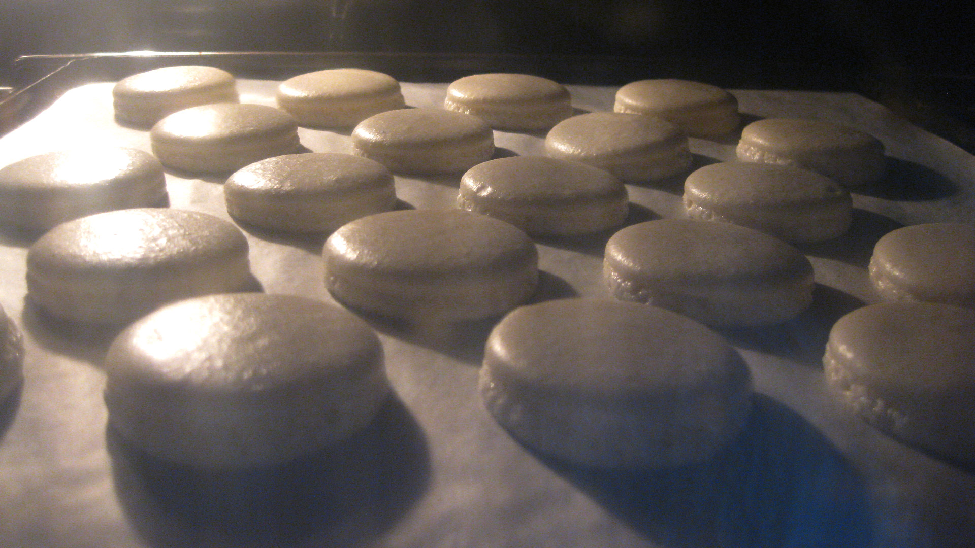 Macarons, Quest for Perfection Oven Julia and Tania Blog