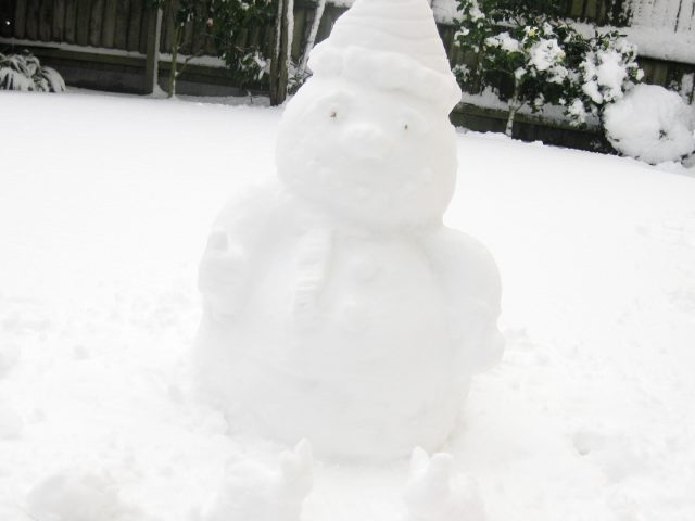 Snow 2011